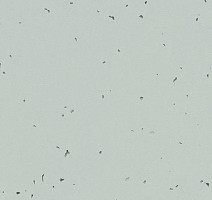 Линолеум Forbo Sphera Energetic 50229 morning dew фото 1 | FLOORDEALER